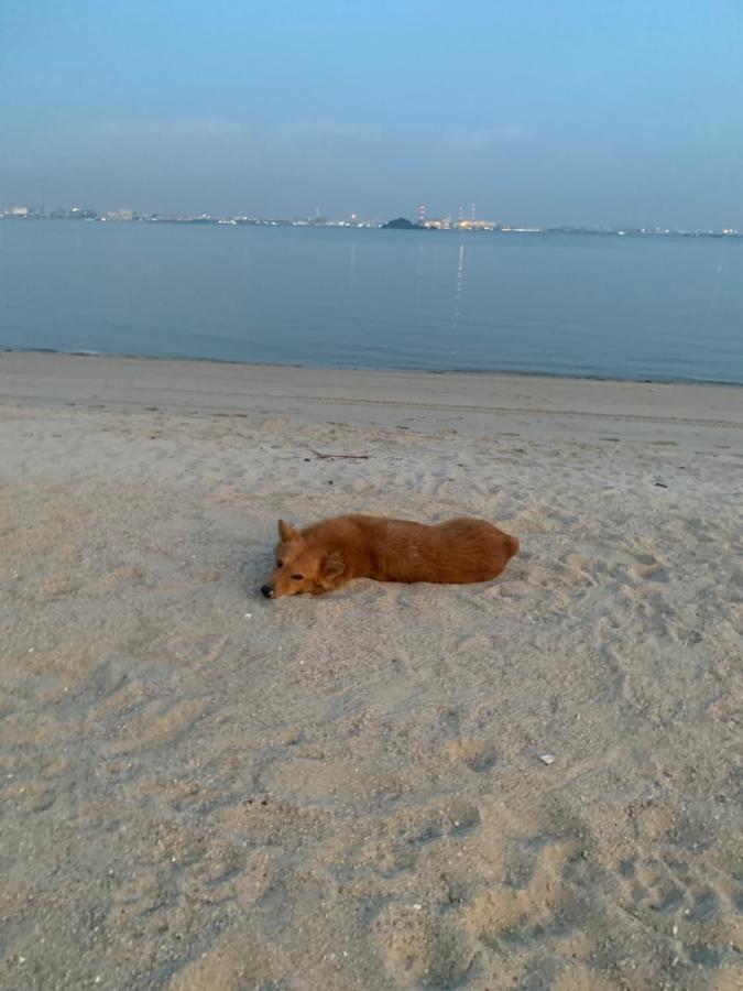 Sea View 2 Bedroom Fully Furnished Apartment Forest City Starview Bay Johor Malaysia Kampong Pok Kechil Exterior foto
